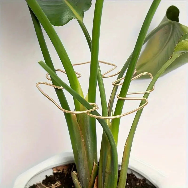 Large Hanging Plant Stand with Hooks