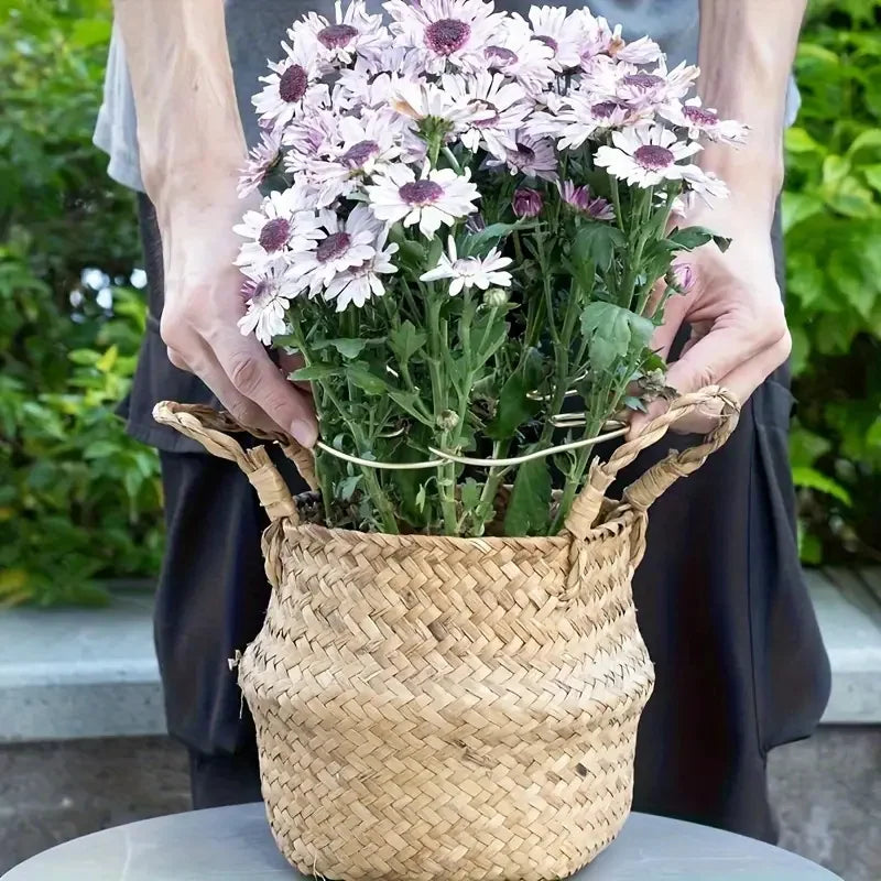 Large Hanging Plant Stand with Hooks