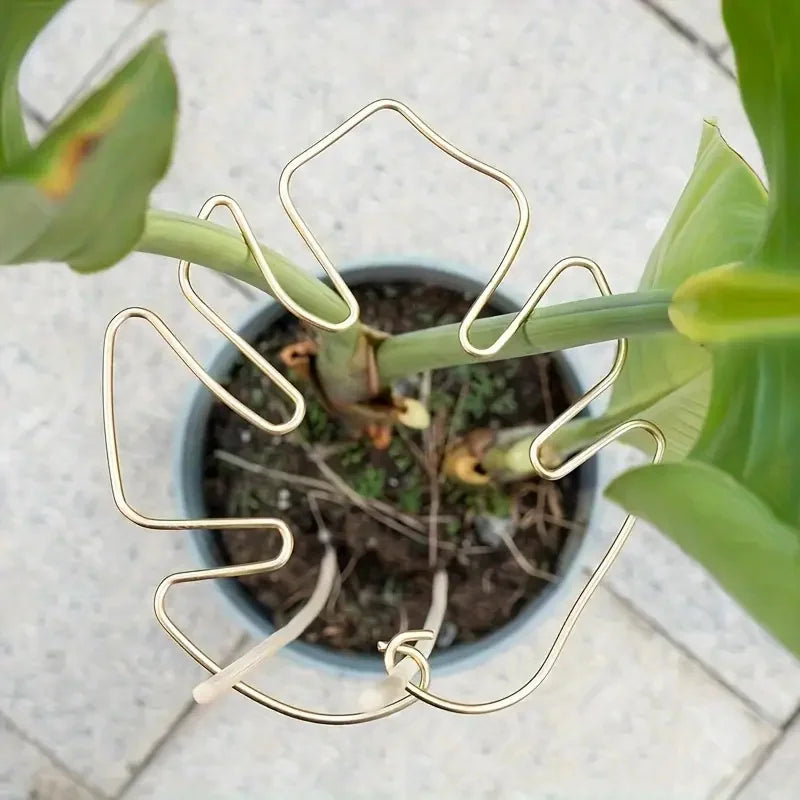 Large Hanging Plant Stand with Hooks