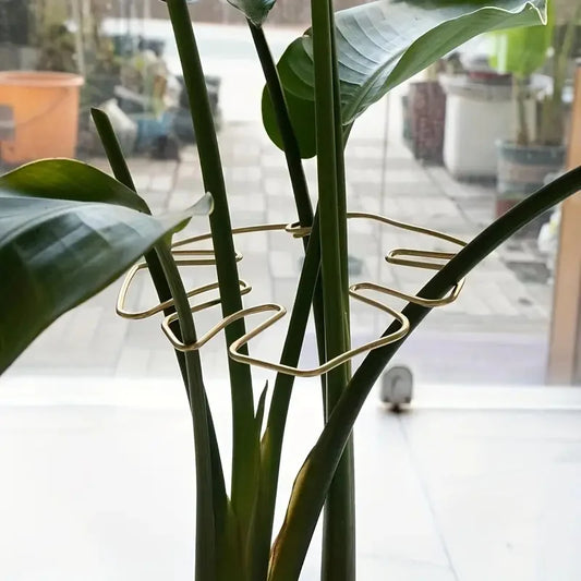 Large Hanging Plant Stand with Hooks