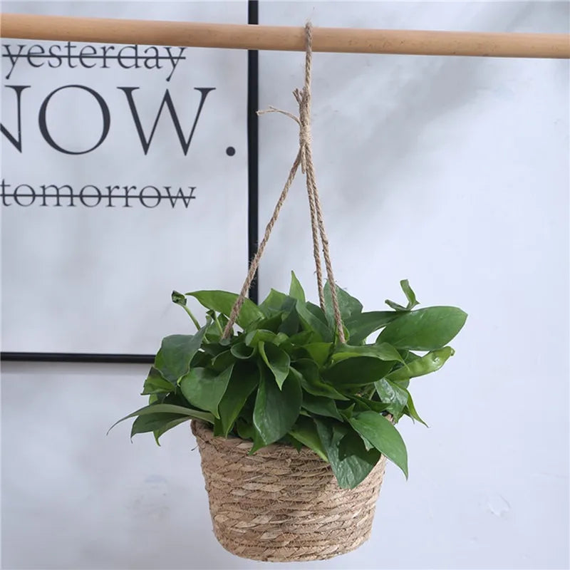 Macrame Hanging Plant Basket