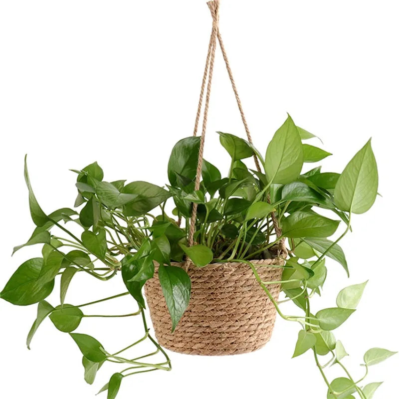 Macrame Hanging Plant Basket