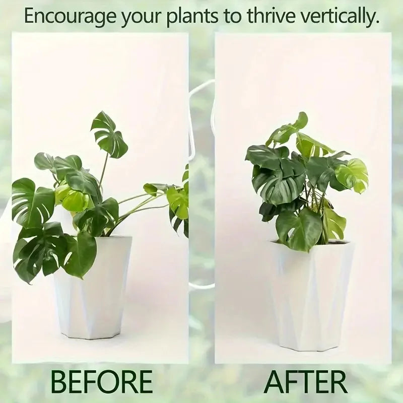 Large Hanging Plant Stand with Hooks