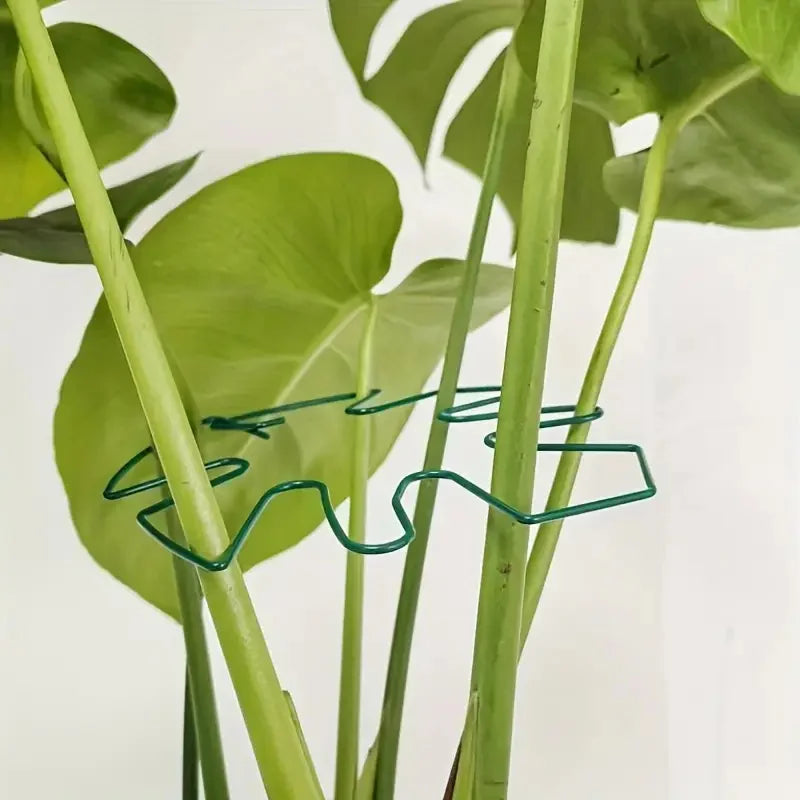 Large Hanging Plant Stand with Hooks